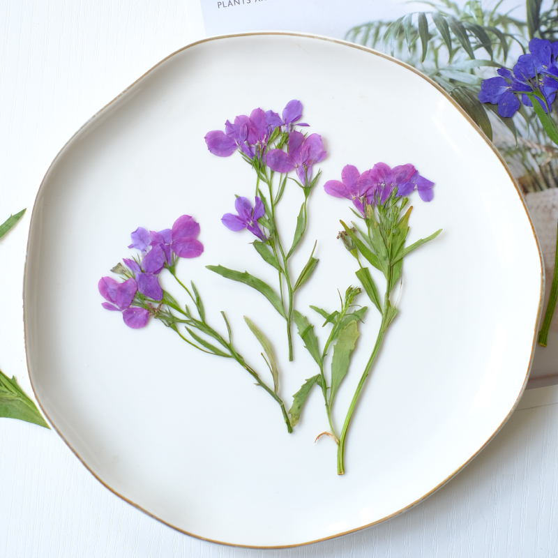 6pcs/8-13cm,nature Lobelia Eri - Resin Art Baby 评论和价格