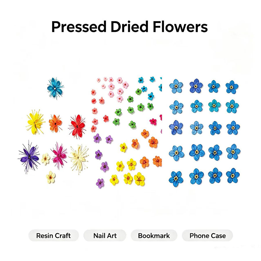 60pcs Mini Pressed Dried Flowe - Resin Art Case 评论和价格